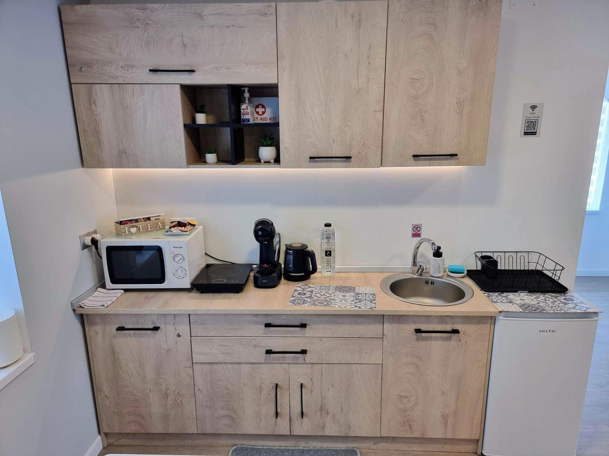 Casa Pavel Vilă *
